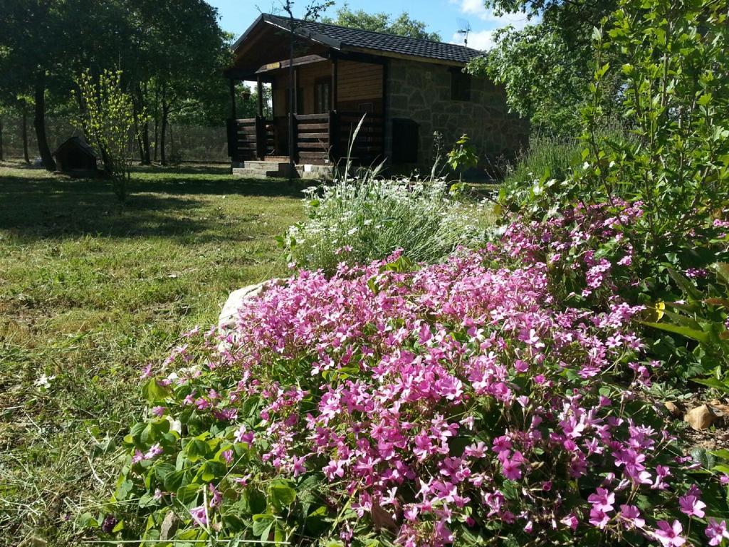 Cabanas Vallecino Manzanal de los Infantes Bagian luar foto