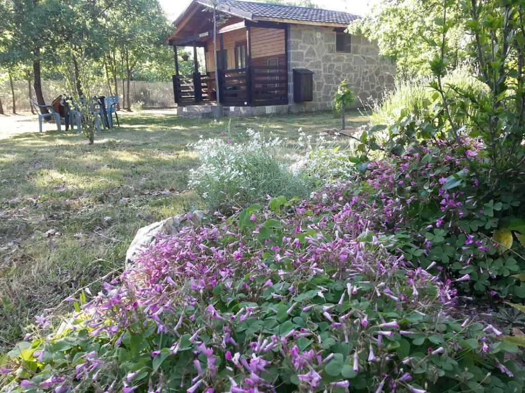 Cabanas Vallecino Manzanal de los Infantes Bagian luar foto