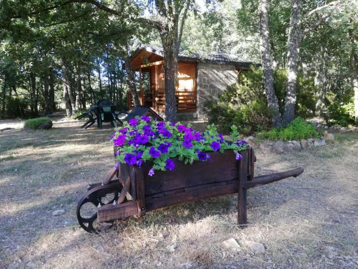 Cabanas Vallecino Manzanal de los Infantes Bagian luar foto