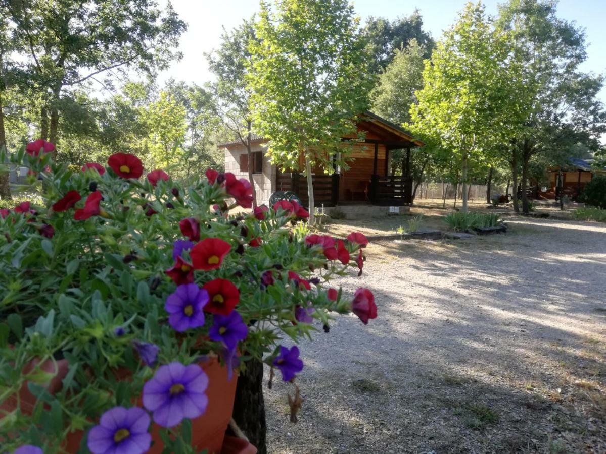 Cabanas Vallecino Manzanal de los Infantes Bagian luar foto